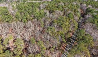 15045 LOCK 17 Rd Lot 1, Adger, AL 35006