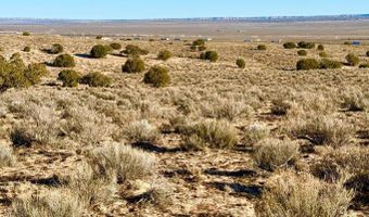 N7009 40 Acres, Chambers, AZ 86502