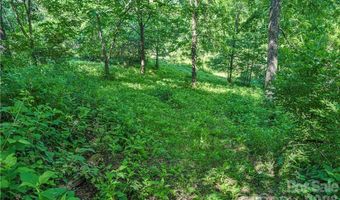 415 Weaverville Rd, Asheville, NC 28804