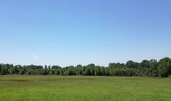 000 County Road 4315, De Kalb, TX 75559