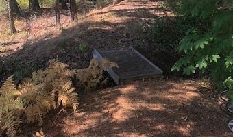 91591 Blue River Reservoir Rd, Blue River, OR 97413