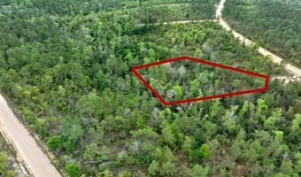 CASTLE CIRCLE, Alford, FL 32420