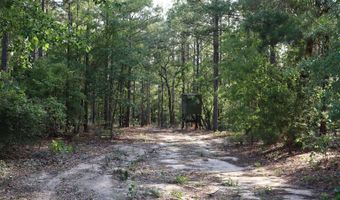 2631 Charlie Johnson Rd, Bethune, SC 29009