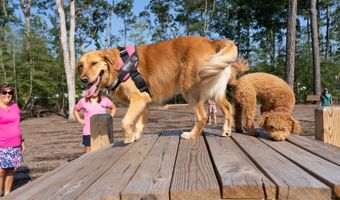 33090 Lily Pad Ln, Frankford, DE 19945