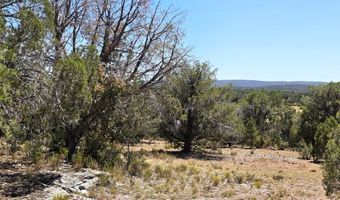 3200 W Poppy Rd, Ash Fork, AZ 86320