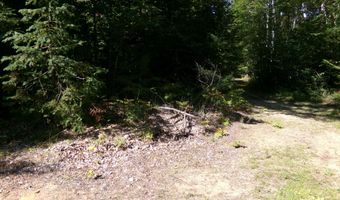 V/L 30AC Lake Winyah Road, Alpena, MI 49707