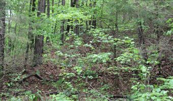 E Mountain Road, Bee Branch, AR 72013
