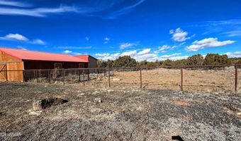 111 County Rd 8015, Concho, AZ 85924
