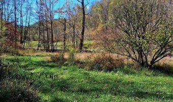 0 N Forks Rd, Amherst, VA 24521