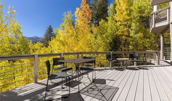 1139 BOREAS PASS Rd, Breckenridge, CO 80424