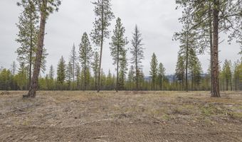 L5 B1 Wallace Lane, Blanchard, ID 83804