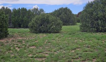 Birdwing Lane, Clay Springs, AZ 85923