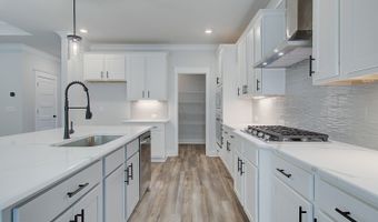 13 Piney Grove Ct, Auburn, GA 30011