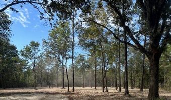 0 Harris Rd Tract 7, Albany, LA 70711