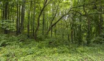 V/L 60th St Par C, Alto, MI 49302