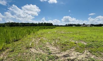 5 Acres Val Del, Adel, GA 31620