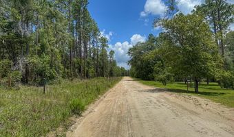 6339 NW 17th Ct, Bell, FL 32619