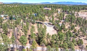 215 Brentwood Dr 2, Alto, NM 88312