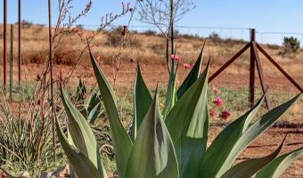 240 Sendero Horse Thief, Alpine, TX 79830