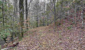 34655 Co Rd 49, Beaverton, AL 35544