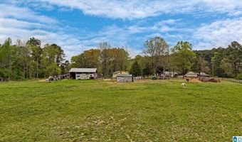 3237 MUD CREEK Rd, Adger, AL 35006