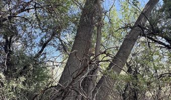 Xx PALOMINO, Bloomfield, NM 87413