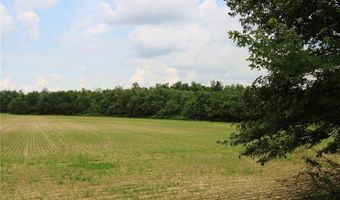 0 County Road 259, Advance, MO 63730