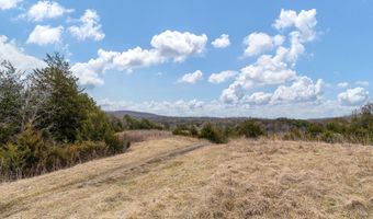 Smithtown Road, Afton, TN 37616