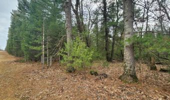 Dyke Avenue lot 8, Adams, WI 53910