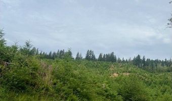 Northrup Creek Rd, Birkenfeld, OR 97016