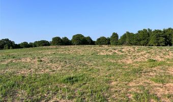 Tbd County Road 335, Anson, TX 79501