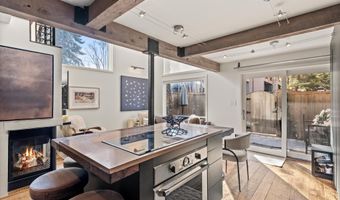 1024 E Cooper Ave 1, Aspen, CO 81611