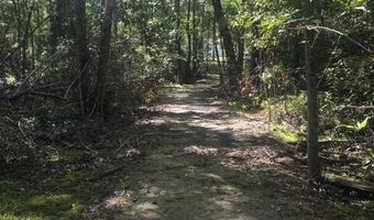 247 Horseshoe Trl, Barnwell, SC 29812