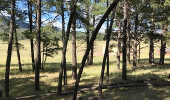 10 County Road N2157, Alpine, AZ 85920