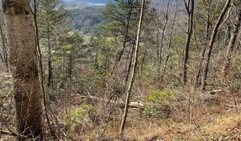 Laramie Heights lot 22, Andrews, NC 28901