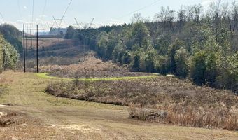 County Road 72, Ariton, AL 36311