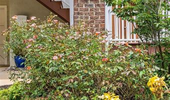 1923 Hamorton Pl, Charlotte, NC 28205