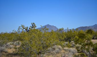 2641 S Javalina Rd, Yucca, AZ 86438