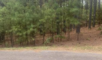 19 Pizarro Dr, Hot Springs Village, AR 71909