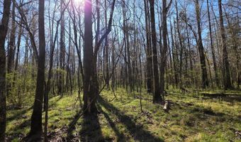 Bogue Chitto Road, Bogue Chitto, MS 39629