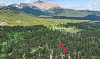 84 County Road 113 N, Allenspark, CO 80510