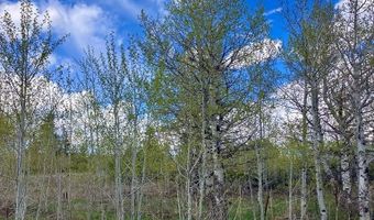 Tbd Aspen Heights Drive, Ashton, ID 83420