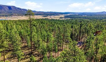 12 W Pergatory Dr, Alpine, AZ 85920
