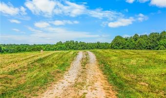 157 Buttercup Ln, Ararat, NC 27007