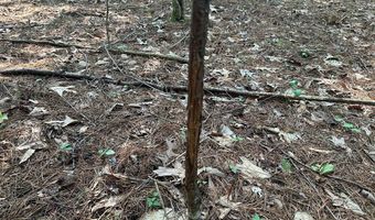 Lot 2B Gidsville Road, Amherst, VA 24521