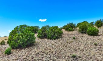 00 N Hilltop Trl Lot D3, Chino Valley, AZ 86323