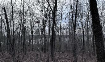 34 Acres- Mtn CONSTELLATION DRIVE Lot 34+ Acres-Mtn Tract One, Alpine, AL 35014
