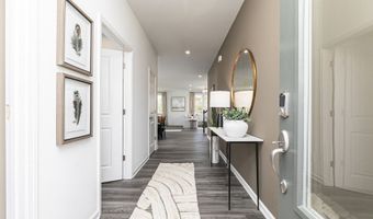 3281 Shannon Woods Ln, Apex, NC 27523
