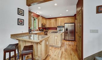 322 DAVIS Ct, Breckenridge, CO 80424
