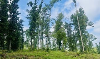 Tract 1 Mill Creek Rd, Andersonville, TN 37705